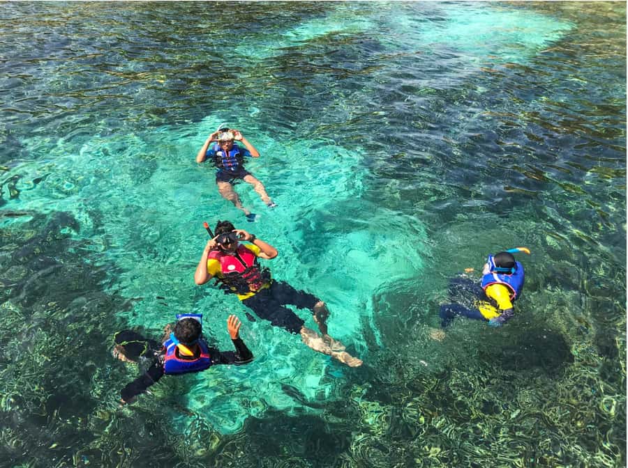 Phuket/Khao Lak: Similan Islands Speedboat Tour with Lunch - Payu Island and the search for Nemo