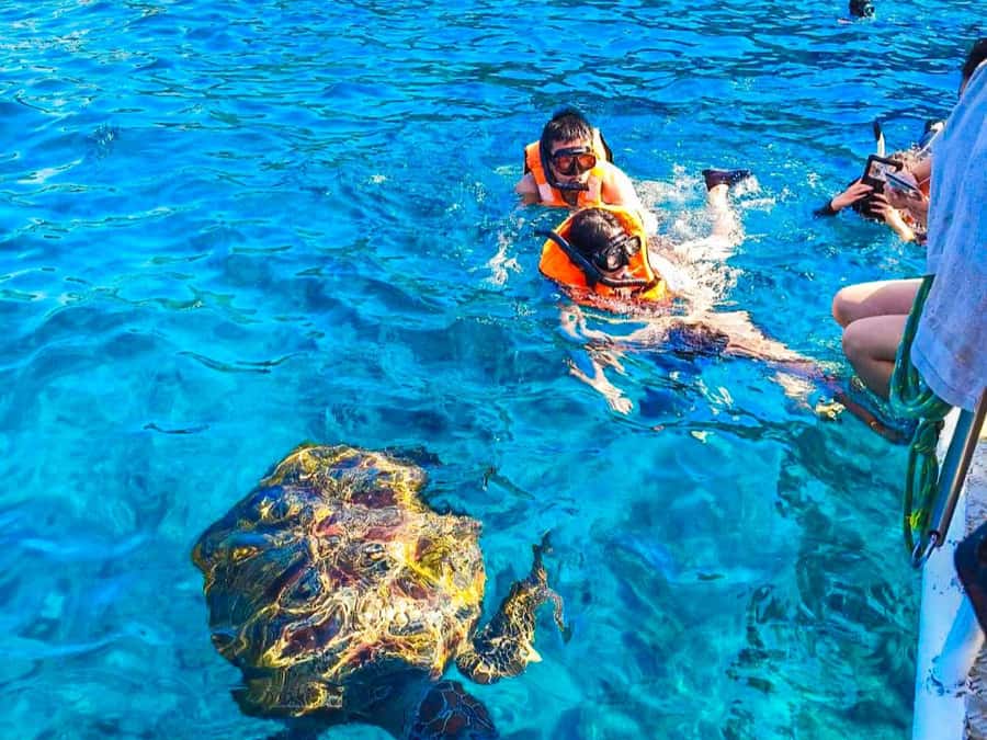Phuket/Khao Lak: Similan Islands Speedboat Tour with Lunch - Honeymoon Bay and Princess Bay on Ko Miang