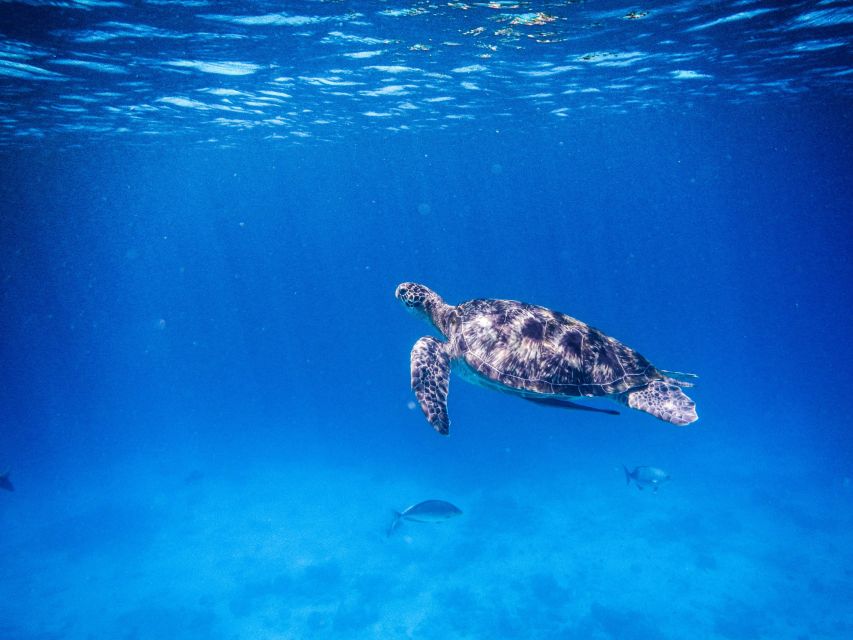 Phuket/Khao Lak: Speedboat Snorkel Tour to Similan Islands - What the boat day feels like in practice