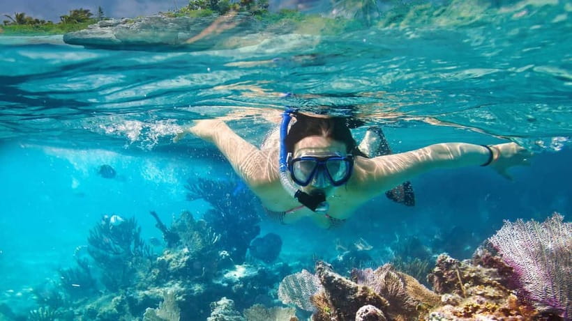Phuket : Phi Phi Island Trip by Speedboat with Lunch - Who should book this island day