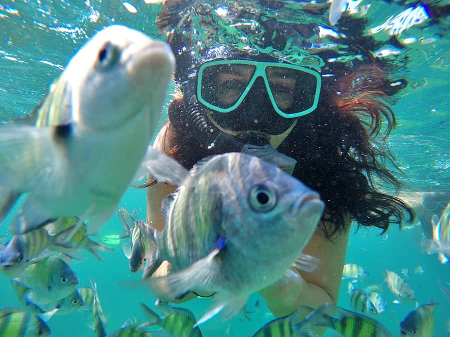 Phuket: Phi Phi & James Bond Island Combo Day Tour w/Lunch - Swimming at Pileh Lagoon and a quick look at Viking Cave