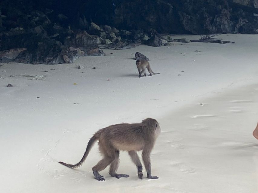 Phuket: Phi Phi & Khai Island Private Speedboat Charter Tour - Koh Khai for sand, rocks, and snorkeling