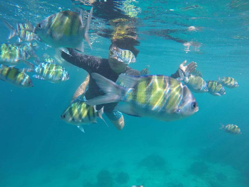 Phuket: Phi Phi & Khai Island Private Speedboat Charter Tour - Is $812 a fair price?