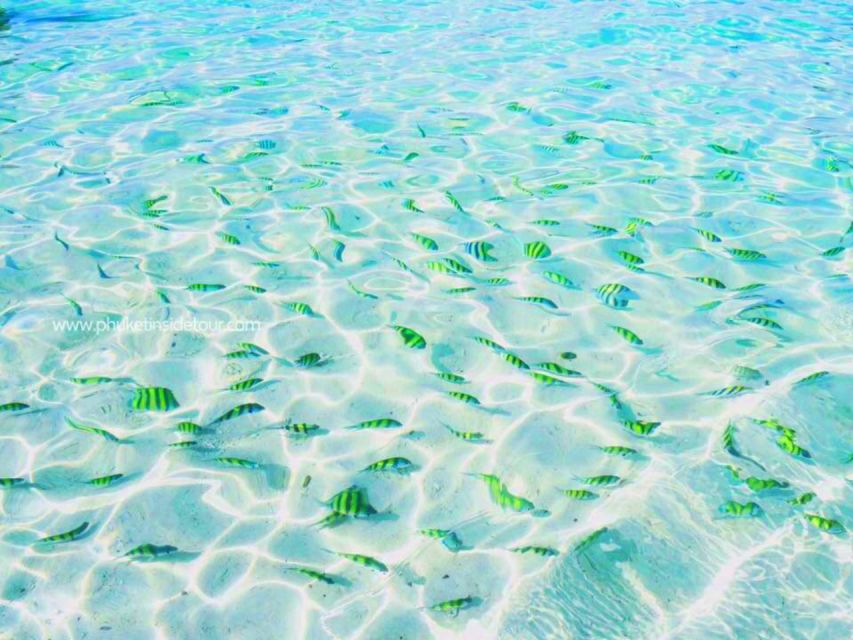Phuket: Phi Phi & Khai Island Private Speedboat Charter Tour - Maya Bay from the water