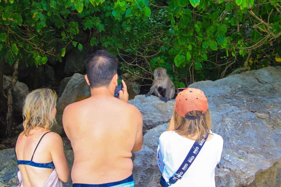 Phuket: Phi Phi Khai or Maiton Island by Speedboat/Catamaran - Who should book this Phi Phi day?