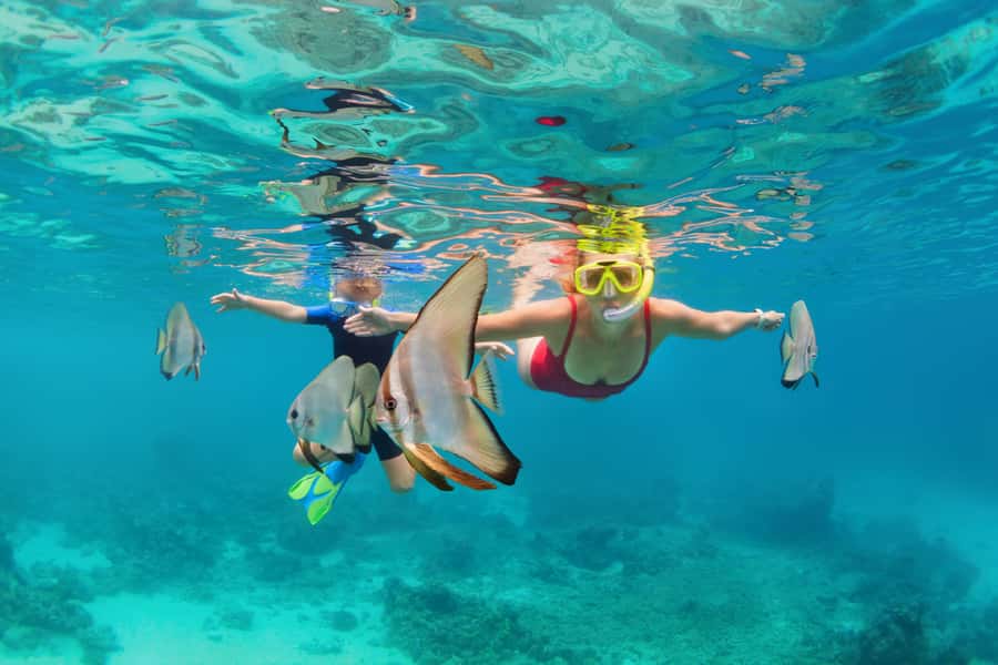 Phuket: Similan day full day trip by speedboat - The five things worth knowing first