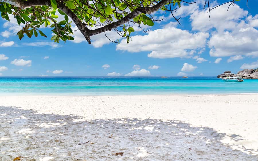 Phuket: Similan day full day trip by speedboat - Ko Miang: the first proper taste of paradise