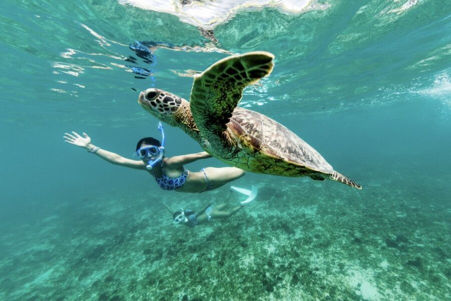 Phuket: Similan day full day trip by speedboat - Should you book the Similan speedboat trip?
