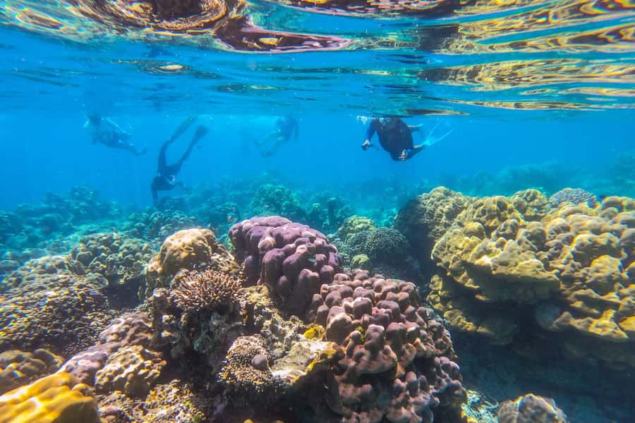 Phuket: Similan day full day trip by speedboat - The speedboat ride to the Similans