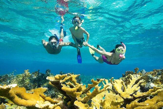 Phuket Similan Island Andaman Ocean Tour by Van and Speedboat - Afternoon Snorkeling at Christmas Point