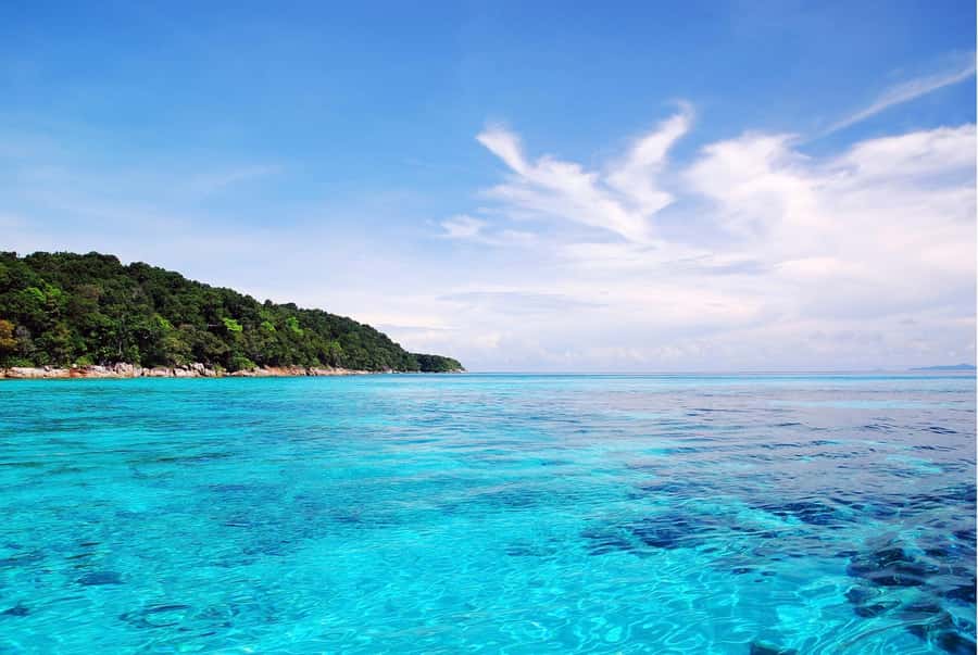 Phuket: Similan Island Day Trip by Speed Boat Catamaran - Food, drinks, and the ride back