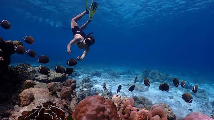 Phuket: Similan Islands Day Tour by Speedboat with Lunch - Who should book this Similan Islands tour?