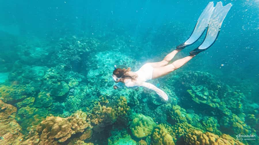 Phuket: Speedboat Day Trip to Phi Phi and Maya Bay - Key points to know before booking