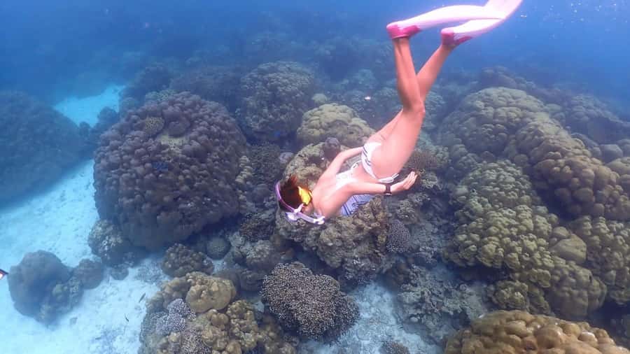 Phuket : Surin Island by Speedboat - Key points to know before booking