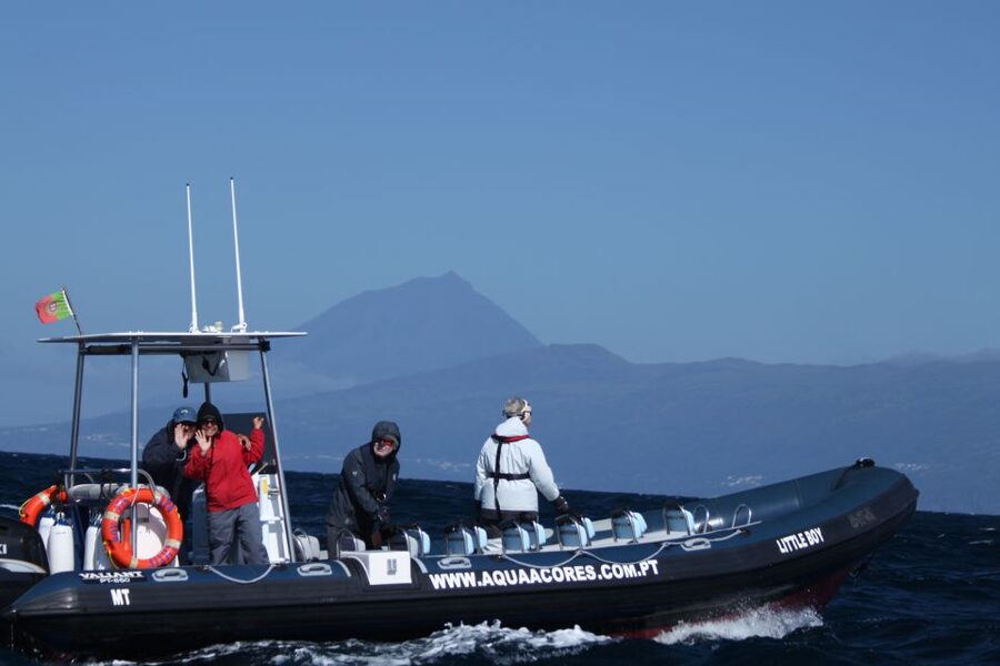 Pico Island: Azores Whale & Dolphin Watching on Zodiac Boat - A guide-led lesson in marine life