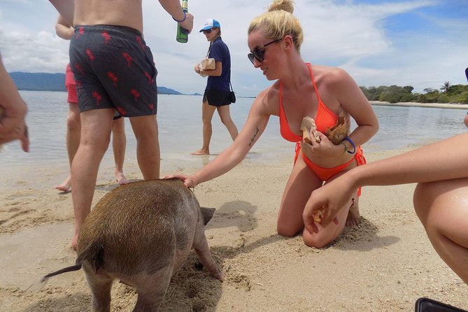 Pig Feeding, Kayaking, Snorkeling Trip at Pig Island By Speedboat From Koh Samui - Lunch and the guides can rescue a long day