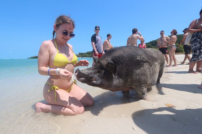 Pig Feeding, Kayaking, Snorkeling Trip at Pig Island By Speedboat From Koh Samui - Who will enjoy this Koh Samui excursion