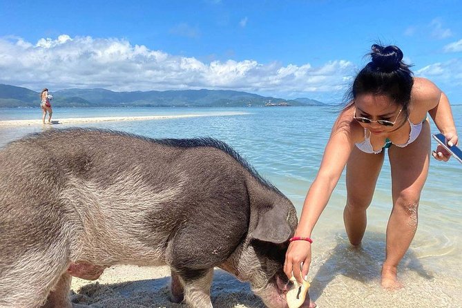 Pig Feeding, Kayaking, Snorkeling Trip at Pig Island By Speedboat From Koh Samui - Practical tips for a better day