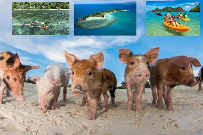 Pig Island Experience By Speed Boat, Snorkeling, Kayaking Relaxing on the Beach - The five things to know before booking