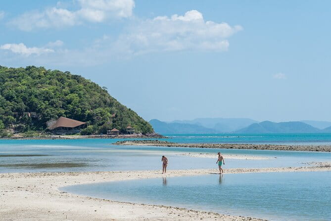 Pig Island & Koh Tan Tour by Speed Boat (Snorkeling & Kayaking) - Snorkeling Around Koh Tan’s Coast