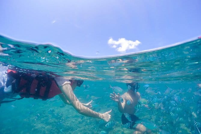 Pig Island & Koh Tan Tour by Speed Boat (Snorkeling & Kayaking) - What the Price Includes, and What It Does Not