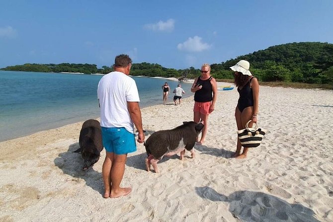 Pig Island Snorkeling & Sightseeing Tour By Speedboat From Koh Samui - Lunch, fruit, and what the $47.62 covers