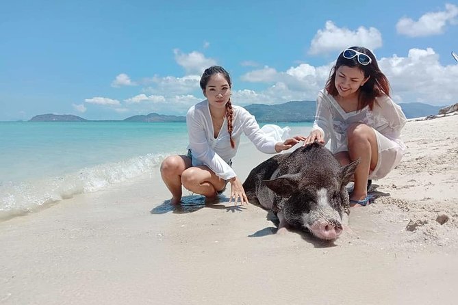 Pig Island Snorkeling & Sightseeing Tour By Speedboat From Koh Samui - Practical ways to improve the experience