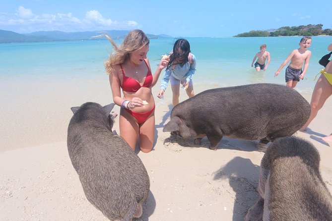 Pig Island Snorkeling & Sightseeing Tour By Speedboat From Koh Samui - Koh Tan snorkeling: a promising stop with changing conditions