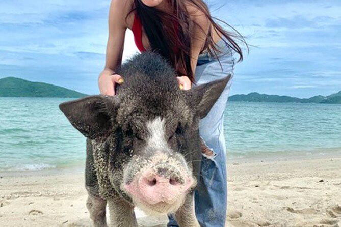 Pig Island Tour by Speedboat with Snorkeling - One hour on Koh Madsum, also called Pig Island