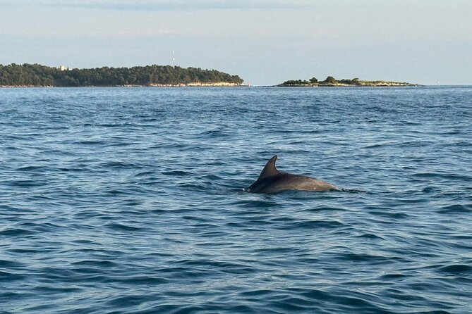 Porec Sunset Shared Cruise on Speedboat with Dolphin Sightseeing - The return past Sveti Nikola Island and old Poreč
