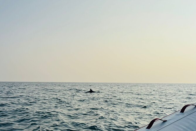 Porec Sunset Shared Cruise on Speedboat with Dolphin Sightseeing - Should you book the Poreč sunset cruise?