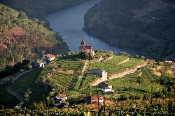 Porto 6 bridges Speedboat Tour along the Douro - Key points to know before booking