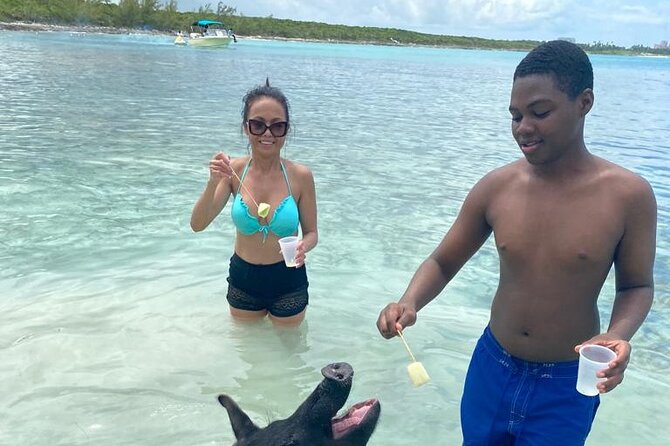 Powerboat and Snorkel Experience with Swimming Pigs and Turtles - Finding Secret Cays at Paradise Island Ferry Terminal