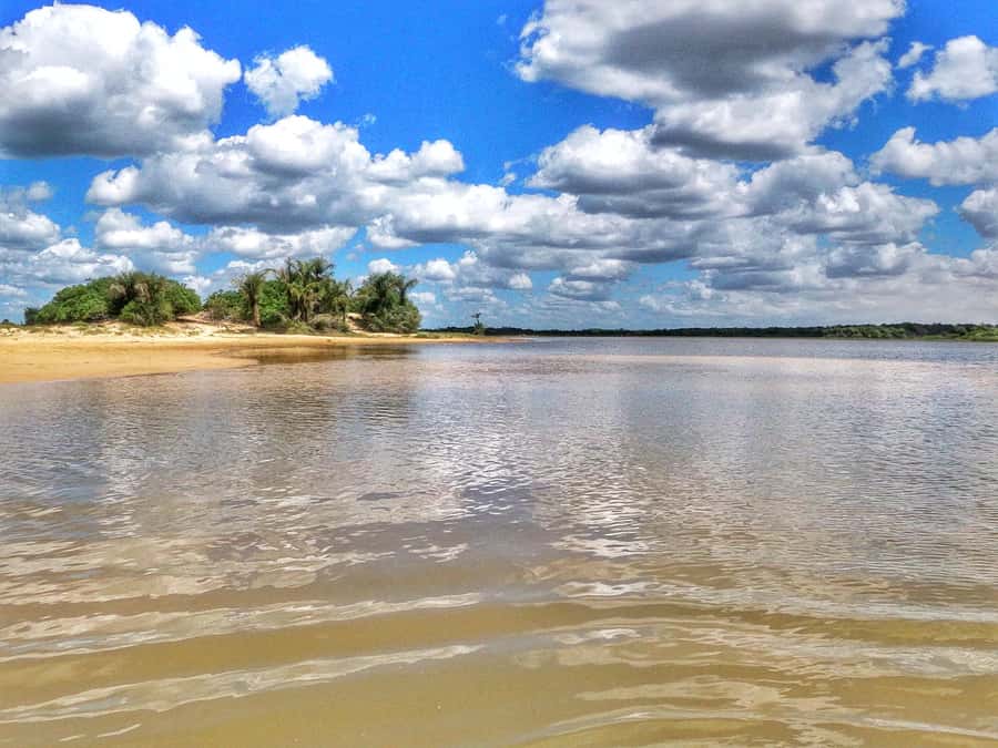 Preguicas River Speedboat Tour - A quick ride from Barreirinhas to the river