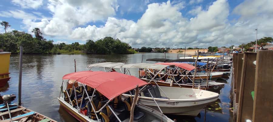 Preguicas River Speedboat Tour - The practical issues that can make or break the day
