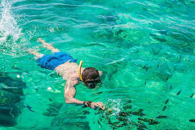 Premium Tour to Phi Phi & Bamboo Island Tours by Speed boat - Lunch and what is included