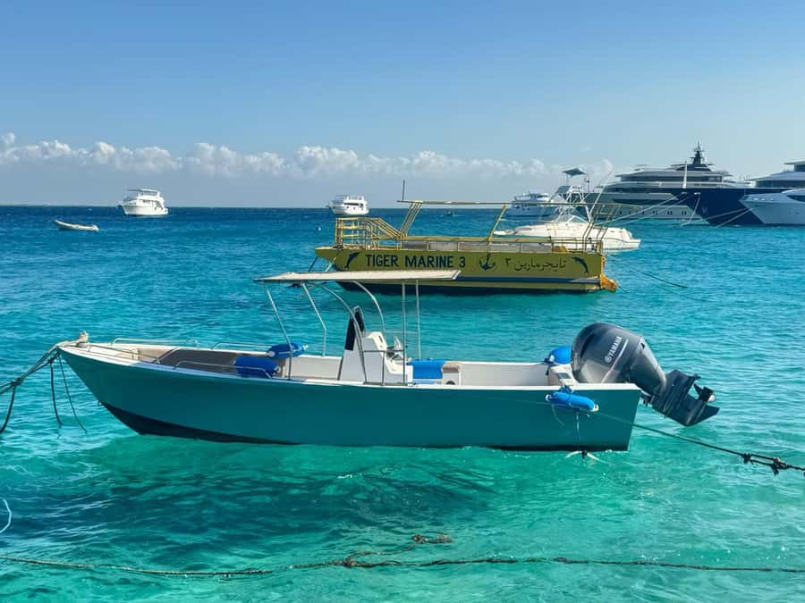 Private 4-Hour Speedboat Trip with Island Stop - Free time on Magawish Island