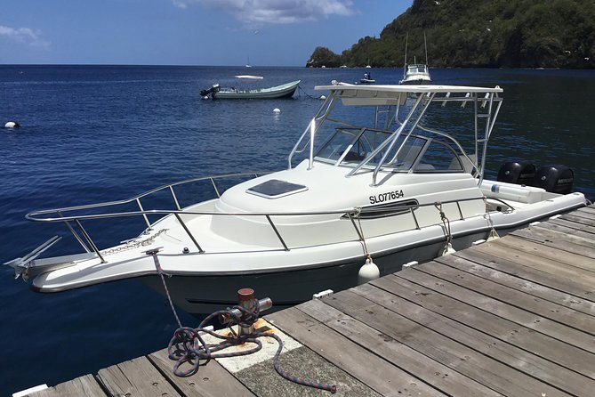 Private All Inclusive Speedboat to Soufriere with Lunch, Mud Bath & Waterfall - Timing, pickup, and physical demands