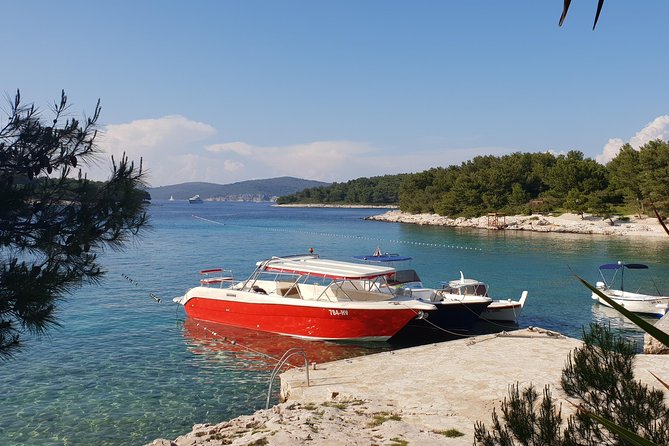 Private Custom Island Hopping Speedboat Tour from Hvar - Budikovac Blue Lagoon: the best swim stop