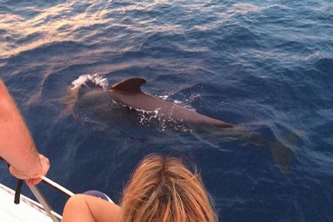 Private Glamorous Speedboat in Tenerife with Snacks & Drinks - The secluded bay and swim break