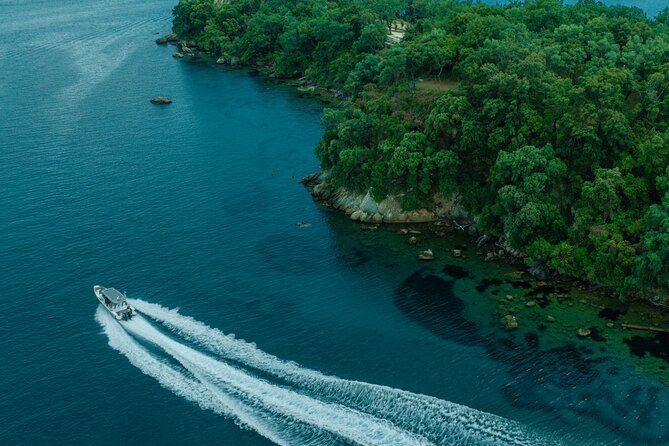 Private Half Day Cruise on a Speed Boat in Mallorca - The crew can make or break a private charter