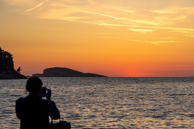 Private Half-Day Speedboat Guided Tour of Dubrovnik Islands - The skipper can shape the whole day