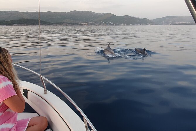 Private Local Guided Speedboat Tour in Dubrovnik Archipelago - An hour at Šunj Beach on Lopud