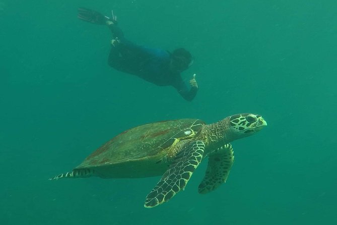 Private Phi Phi & 4 Islands Sunset Cruise by Speedboat - from Krabi - Monkey Beach is a short pause, not a full beach day