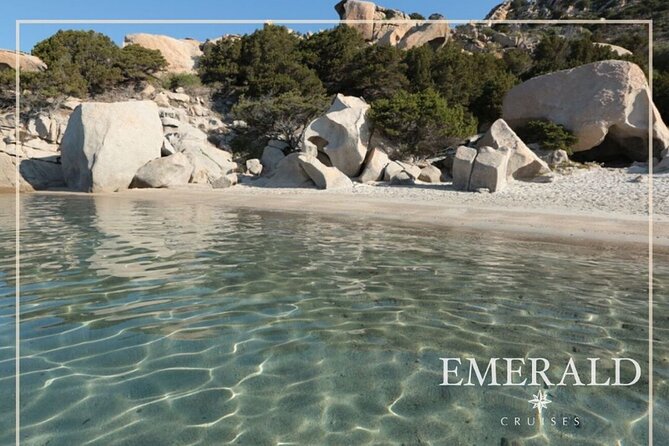 Private Rib Tour La Maddalena archipelago with skipper 4 or 8 hours - Who gets the best value from this tour