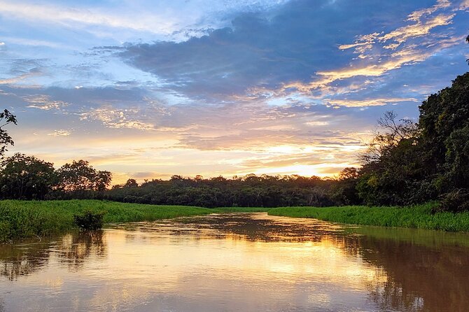 Private River Tour by Speedboat in the Amazon, Lily Pads & Nature - Leaving Manaus by covered speedboat