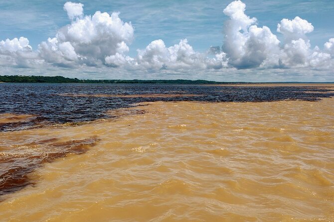 Private River Tour by Speedboat in the Amazon, Lily Pads & Nature - A motorized canoe through flooded forest
