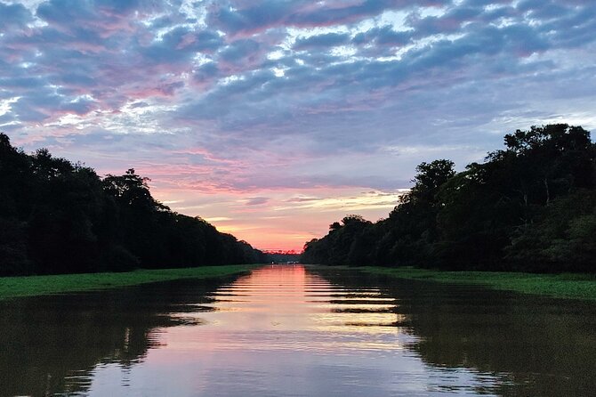 Private River Tour by Speedboat in the Amazon, Lily Pads & Nature - Seeing the Meeting of the Waters