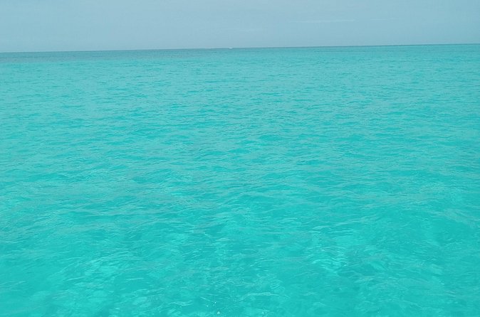 Private speed boat beach and bar hopping visiting Rose island - Weather, Timing, and Practical Details