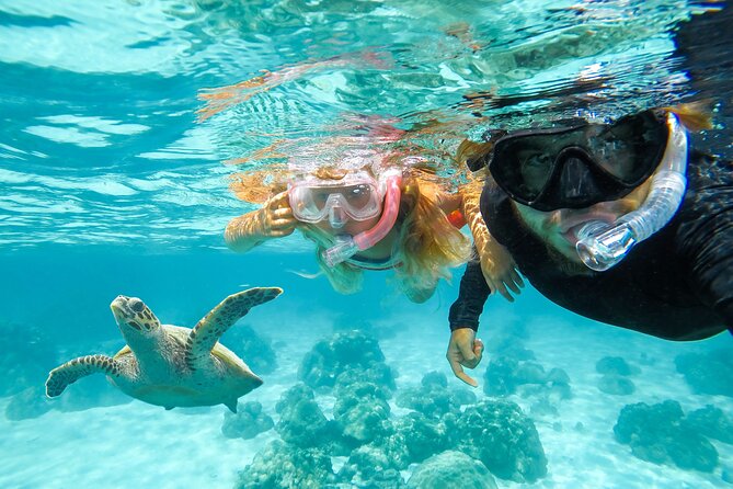 Private Speed Boat Charter in St Maarten & Nature Reserve - Baie Longue beneath La Samanna